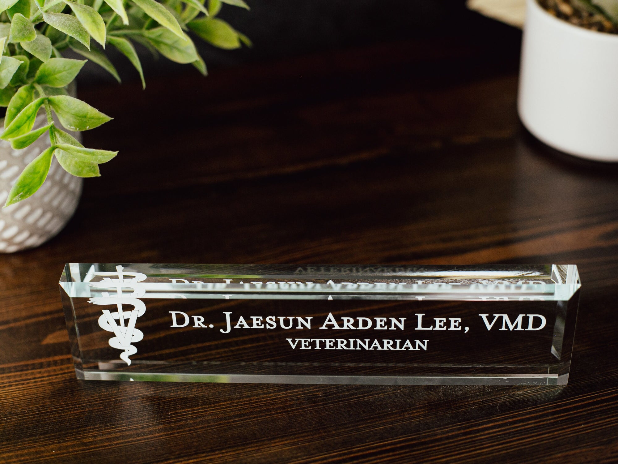 Veterinarian DVM Glass Office Desk Name Plate, Clear New Vet Animal Doctor Nameplate, Practitioner Appreciation Gift, Vet School Graduation