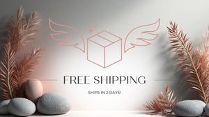 a promotional banner for free shipping, with a winged box design and decorative elements such as rocks and leaves.