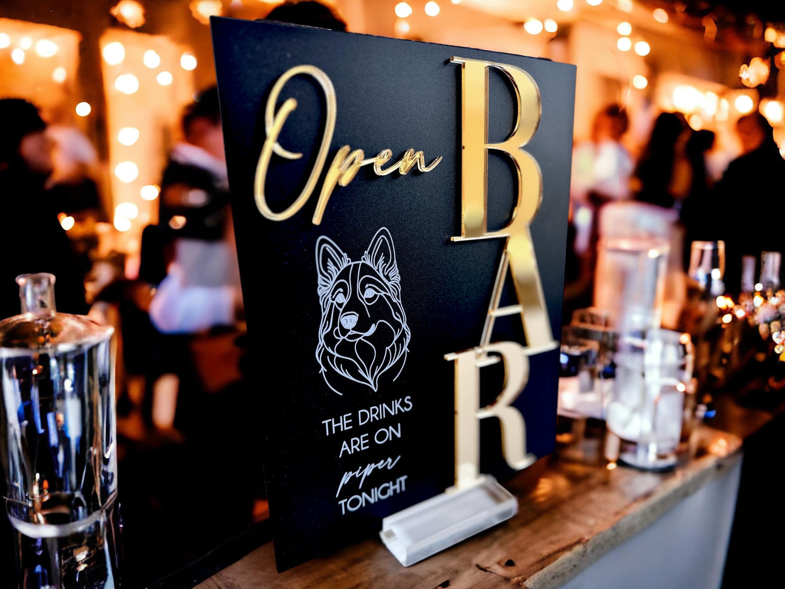 3DF1-DS2 3D Handdrawn Pet Photo Drinks Are On Me