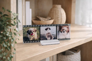 May include: A decorative photo frame with three images of a small dog, designed to resemble a film strip. The frame is black and white, and the images show the dog in various poses. The frame is displayed on a wooden shelf.