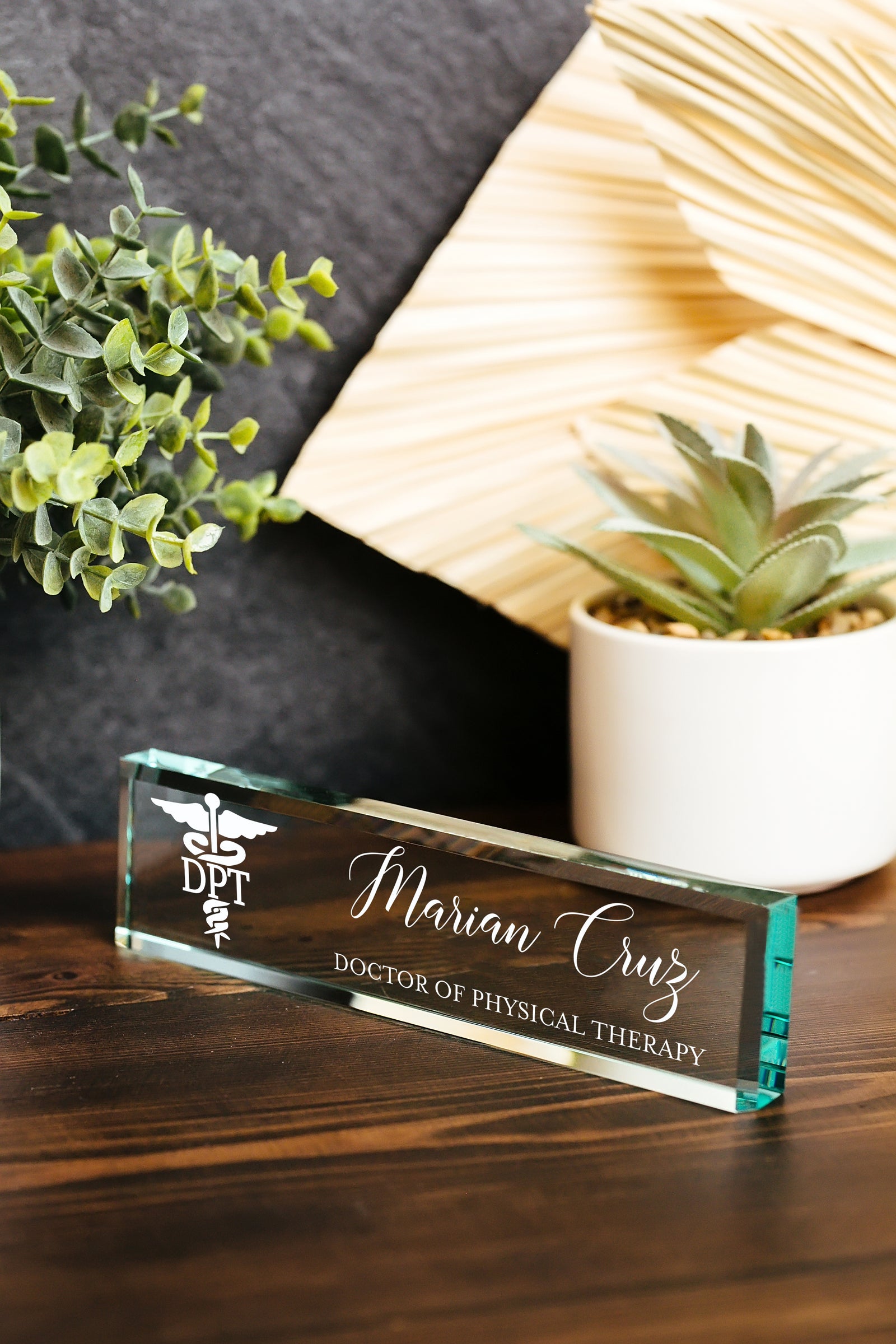 Physical Therapist Glass Name Plate With Optional Icon GNP-PTN