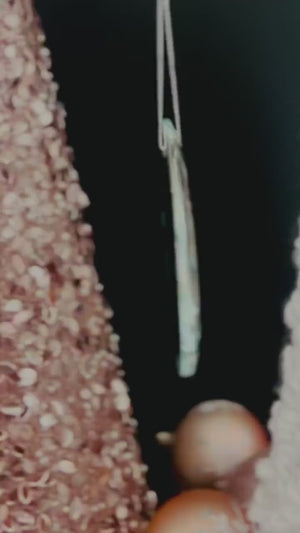 Dog Memorial Ornament - Paw Print Pet Loss Gift In Loving Memory