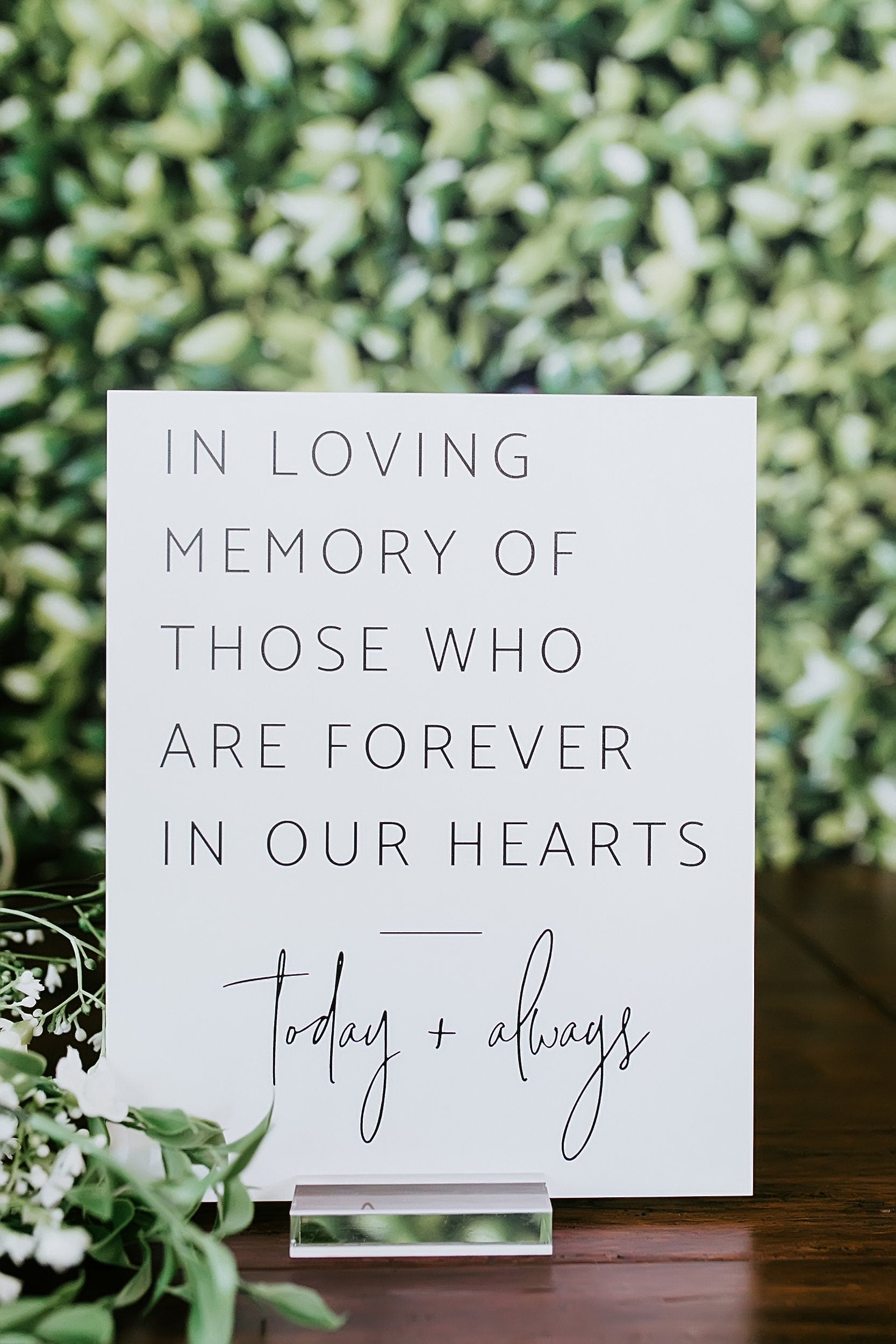 In Loving Memory Of Those Who Are Forever in Our Hearts S3-MS4