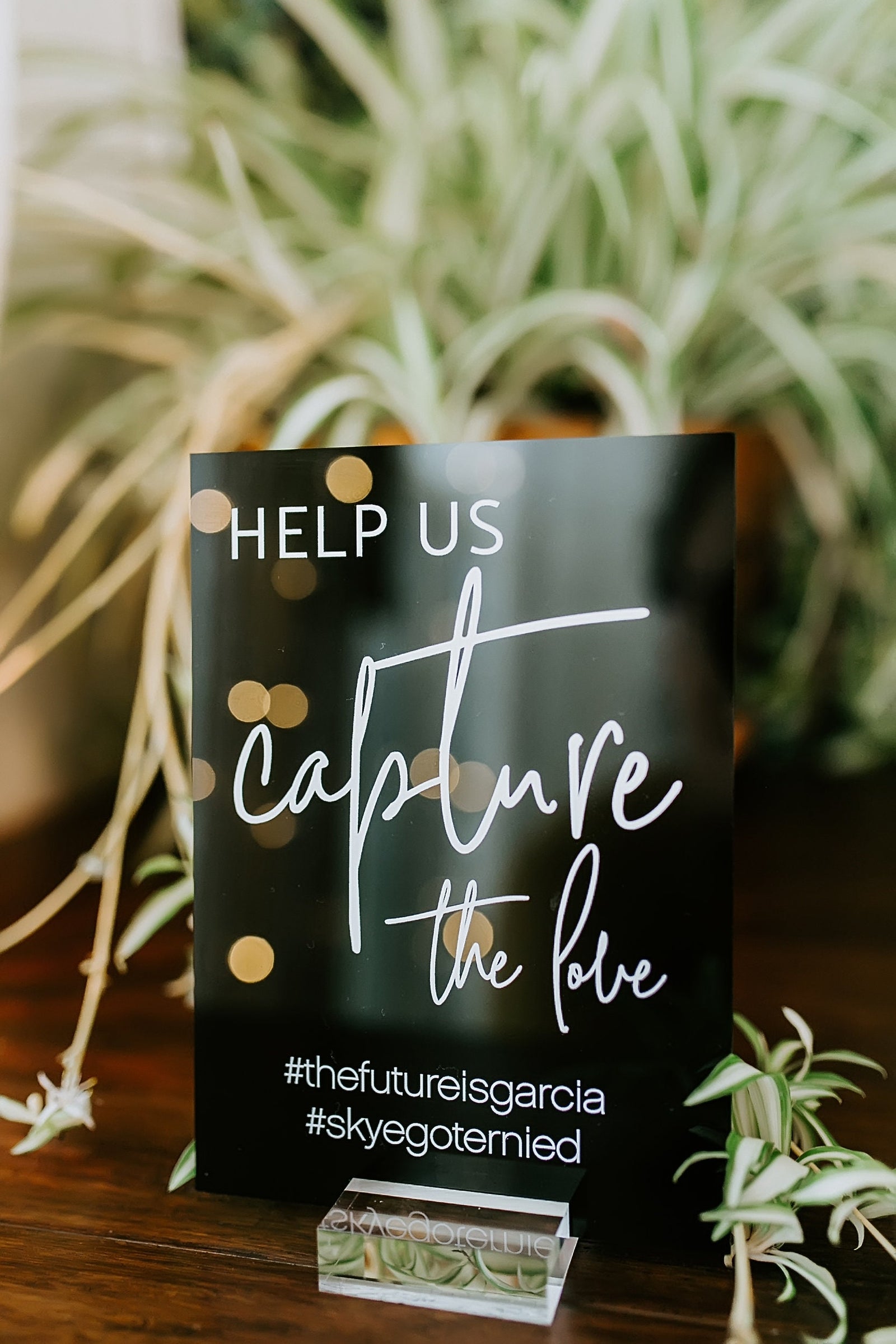 Help Us Capture the Love S3-AS31