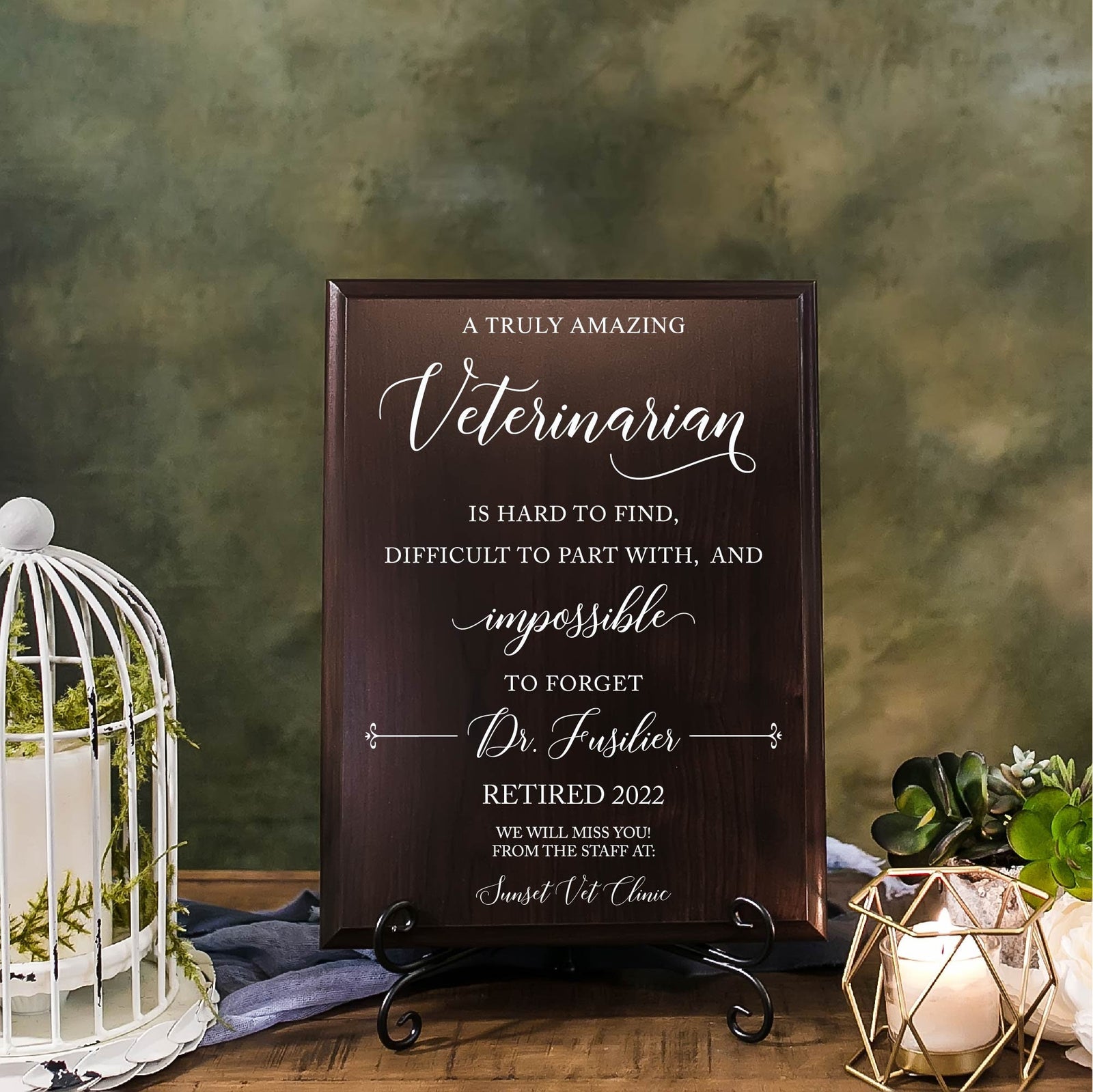 VETERINARIAN Retirement Thank You Appreciation Plaque Vet's Day Recognition Leaving Farewell Gift, DVM Animal Doctor Sign, TP-VET2