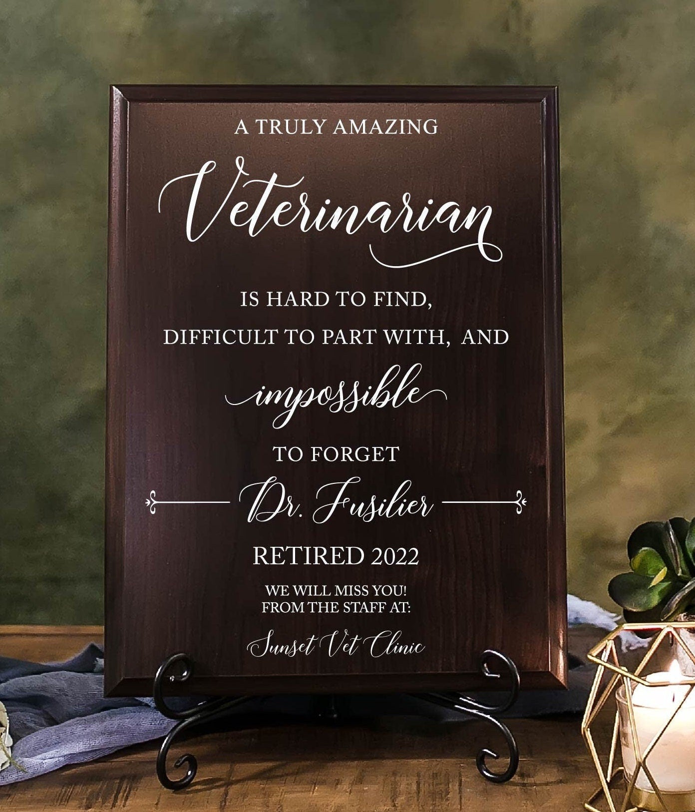 VETERINARIAN Retirement Thank You Appreciation Plaque Vet's Day Recognition Leaving Farewell Gift, DVM Animal Doctor Sign, TP-VET2