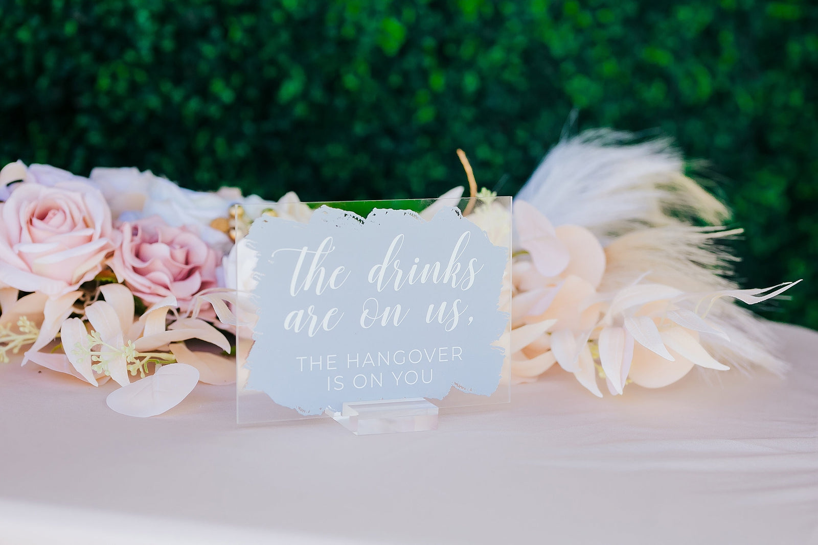 The Drinks Are On, The Hangover Is On You E6-AS2