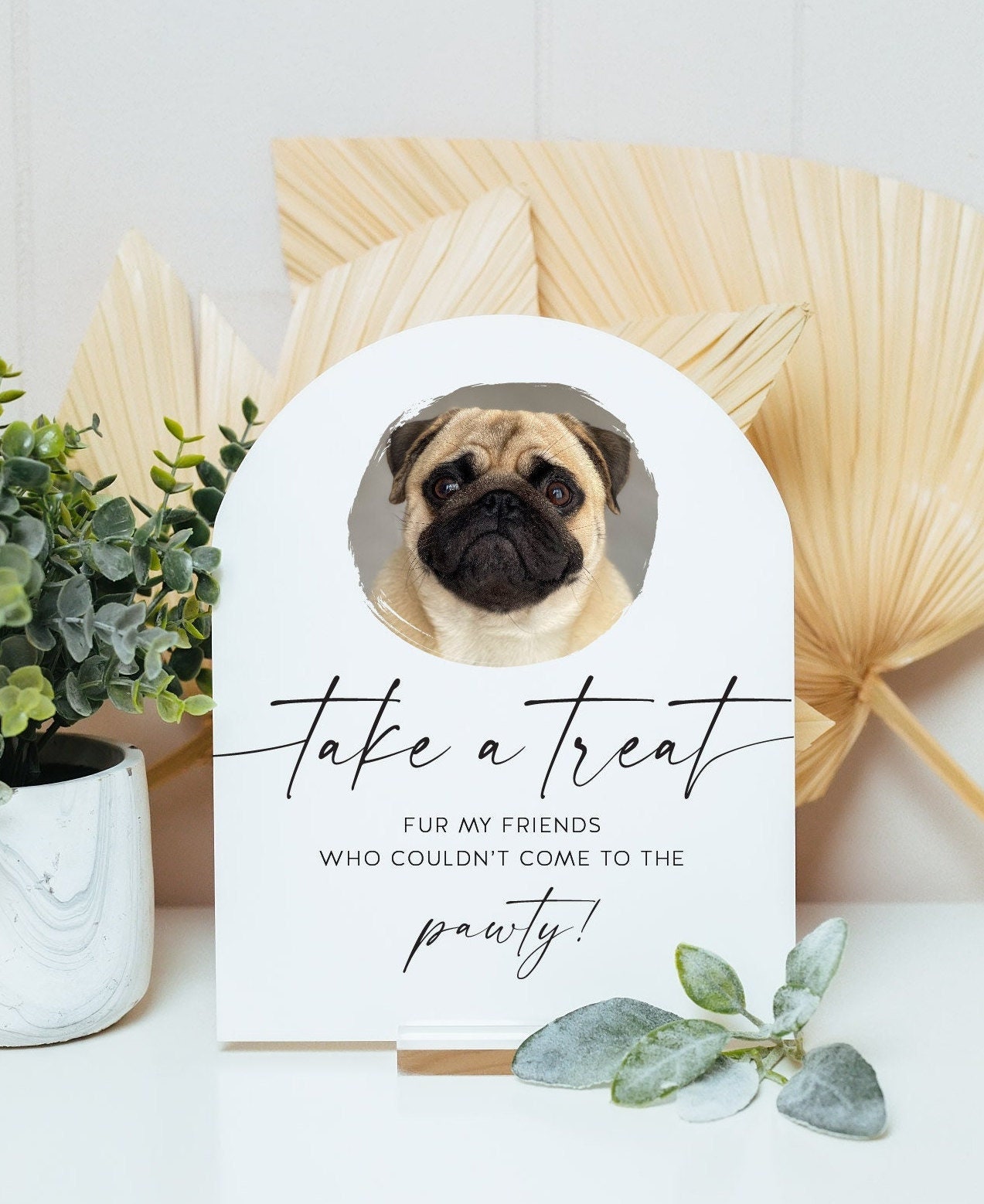 ARCH Biscuit Bar Take A Treat S1-AS3