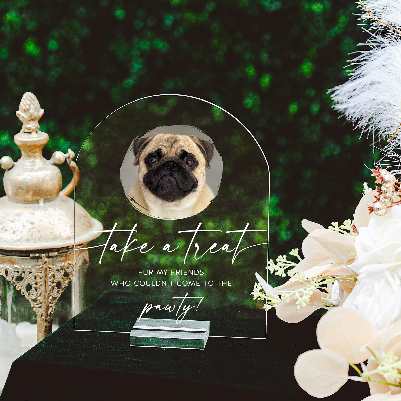 ARCH Biscuit Bar Take A Treat S1-AS3