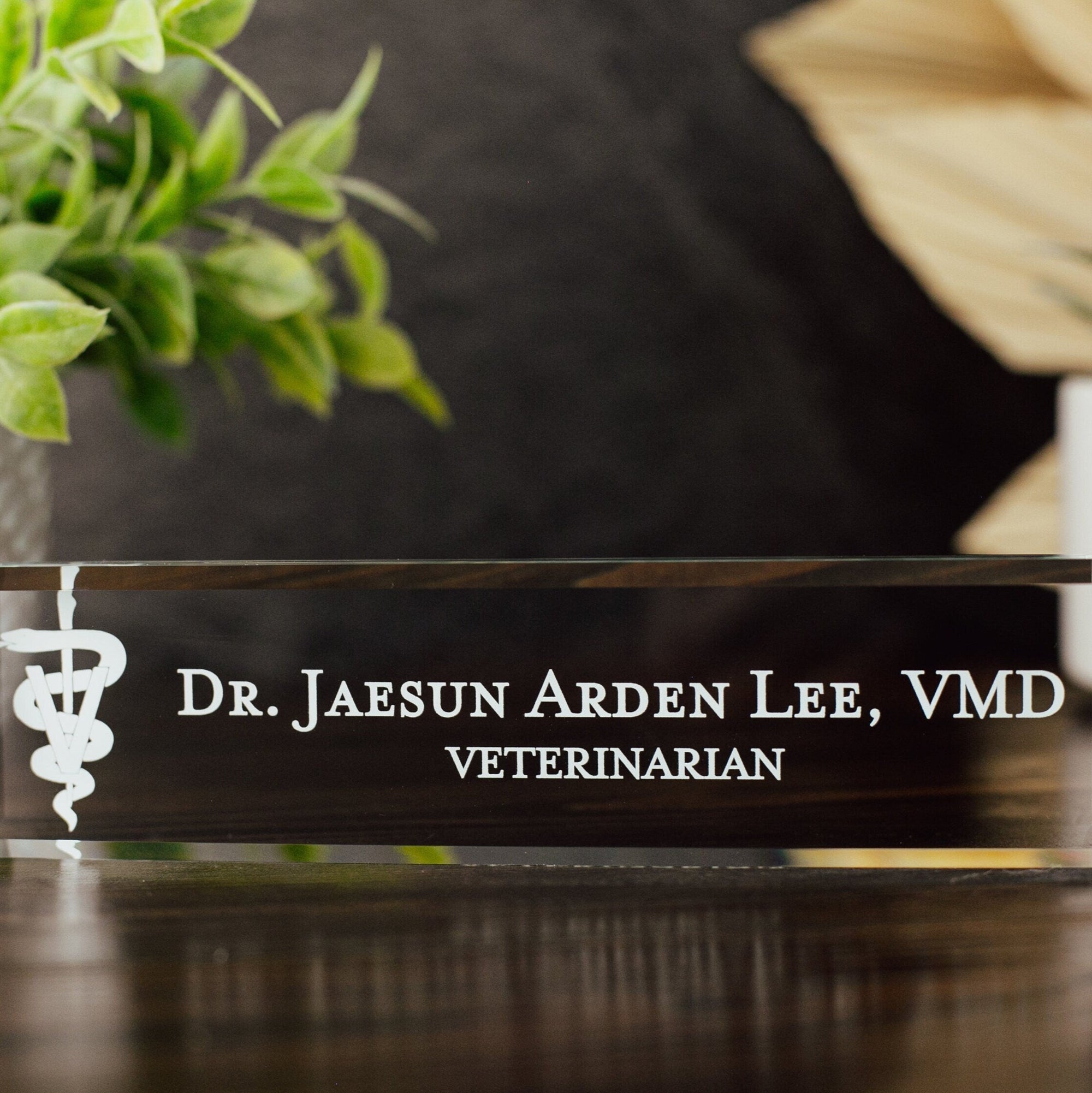 Veterinarian DVM Glass Office Desk Name Plate, Clear New Vet Animal Doctor Nameplate, Practitioner Appreciation Gift, Vet School Graduation